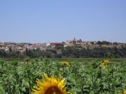 Panorámica
